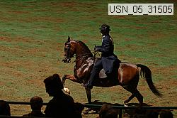usn_05_31505 proof