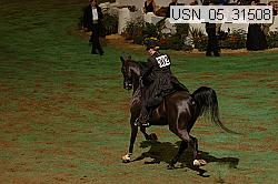 usn_05_31508 proof