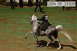 usn_05_31509 proof