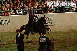 usn_05_31512 proof