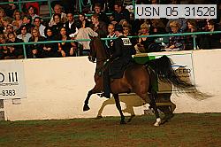 usn_05_31528 proof