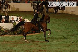 usn_05_31531 proof