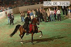 usn_05_31536 proof