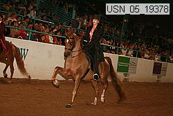 usn_05_19378 proof