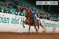 usn_05_13351 proof