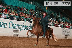 usn_05_13376 proof