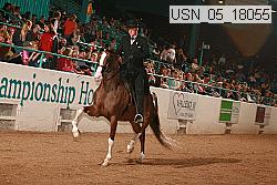 usn_05_18055 proof