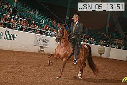 usn_05_13151 proof