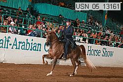 usn_05_13161 proof