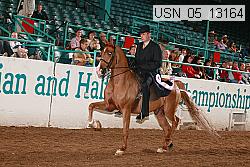 usn_05_13164 proof