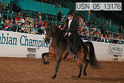 usn_05_13176 proof