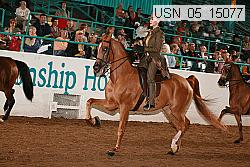 usn_05_15077 proof