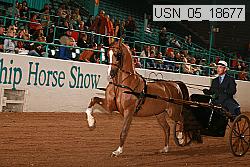 usn_05_18677 proof