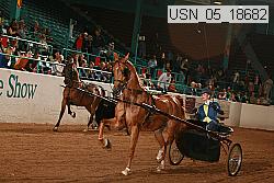 usn_05_18682 proof
