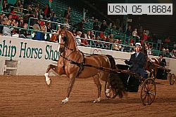 usn_05_18684 proof
