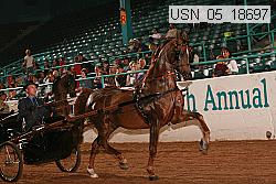 usn_05_18697 proof