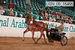 usn_05_15455 proof