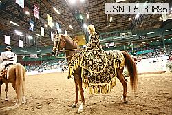 usn_05_30895 proof