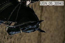usn_05_30943 proof