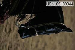 usn_05_30944 proof
