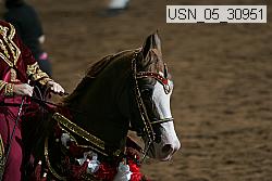 usn_05_30951 proof