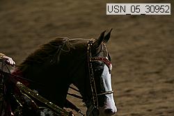 usn_05_30952 proof
