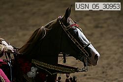usn_05_30953 proof