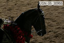 usn_05_30955 proof