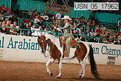 usn_05_17962 proof