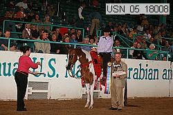 usn_05_18008 proof
