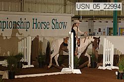 usn_05_22994 proof