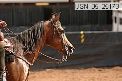 usn_05_25173 proof