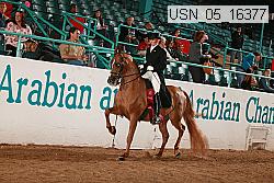 usn_05_16377 proof