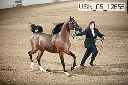 usn_05_12655 proof