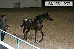 usn_05_12661 proof