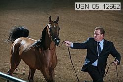 usn_05_12662 proof