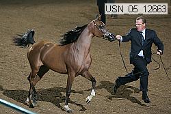 usn_05_12663 proof