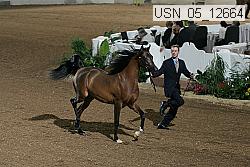 usn_05_12664 proof