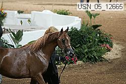 usn_05_12665 proof