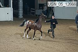 usn_05_12666 proof