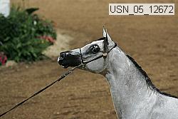 usn_05_12672 proof