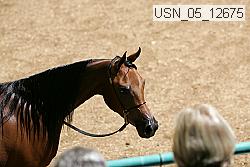 usn_05_12675 proof