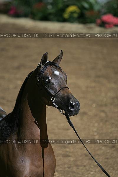 Proof usn_05_12676