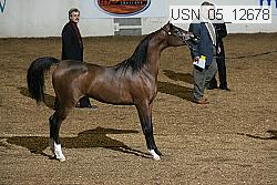 usn_05_12678 proof