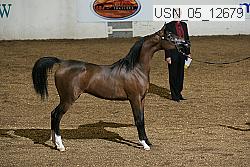 usn_05_12679 proof