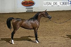 usn_05_12681 proof