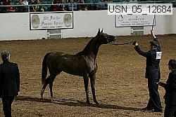 usn_05_12684 proof