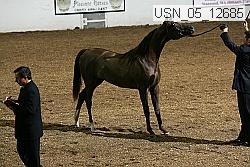 usn_05_12685 proof
