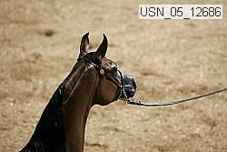 usn_05_12686 proof