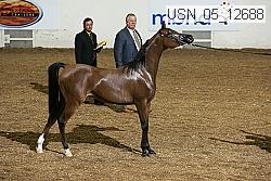 usn_05_12688 proof
